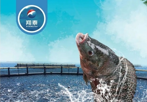 翔泰漁業(yè)深耕【海南鯛】近二十年，堅持高品質(zhì)水產(chǎn)品穩(wěn)定供應(yīng)，不斷創(chuàng)新研發(fā)產(chǎn)品以滿足不同市場需求！