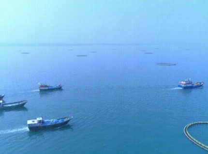 首批漁獲——翔泰2023金鯧魚全面開捕，從南海到餐桌，全程可追溯！